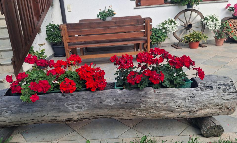 Blumenkrippe